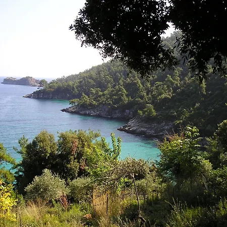 Golden Apartament Chrysi Ammoudia