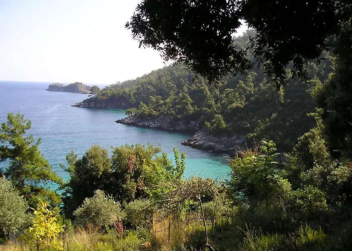 Golden Apartament Chrysi Ammoudia